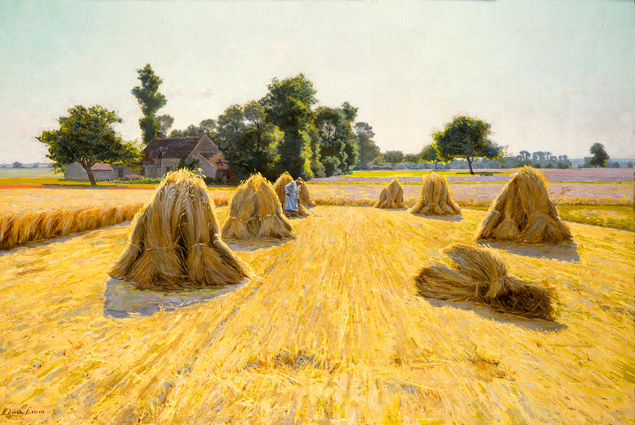 Grain Fields Painting by Celestial Images Fine Art America