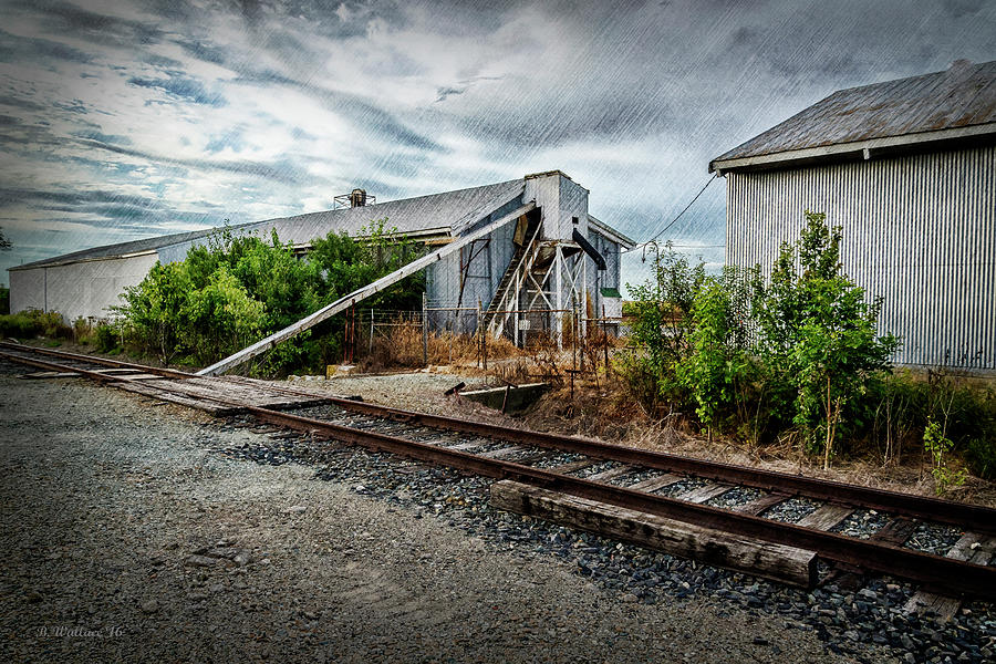 Grain For Train Photograph by Brian Wallace