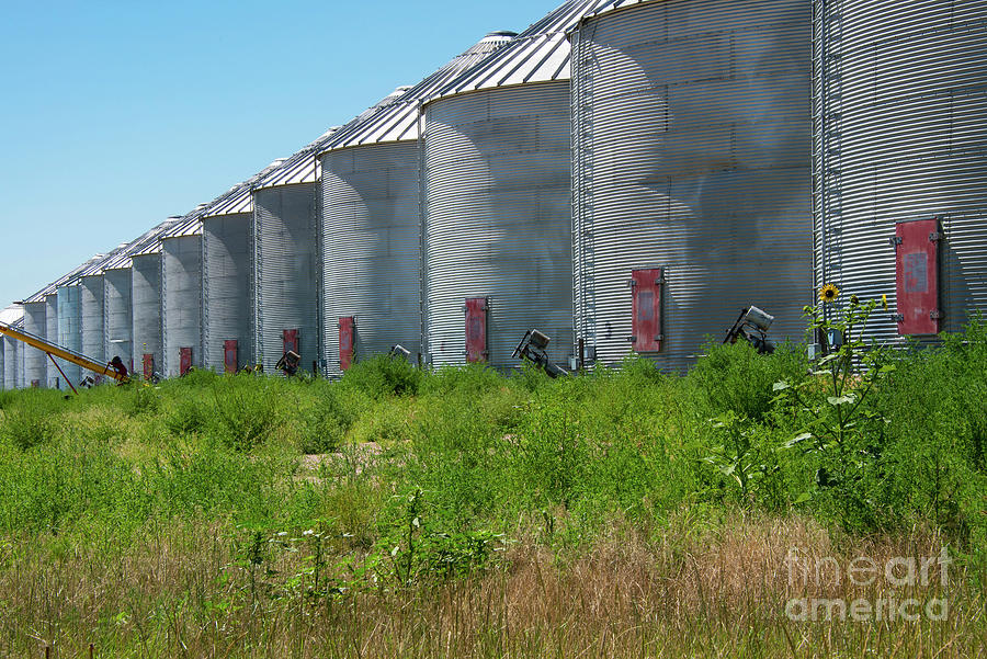 Grain Silos Photograph by Bob Phillips