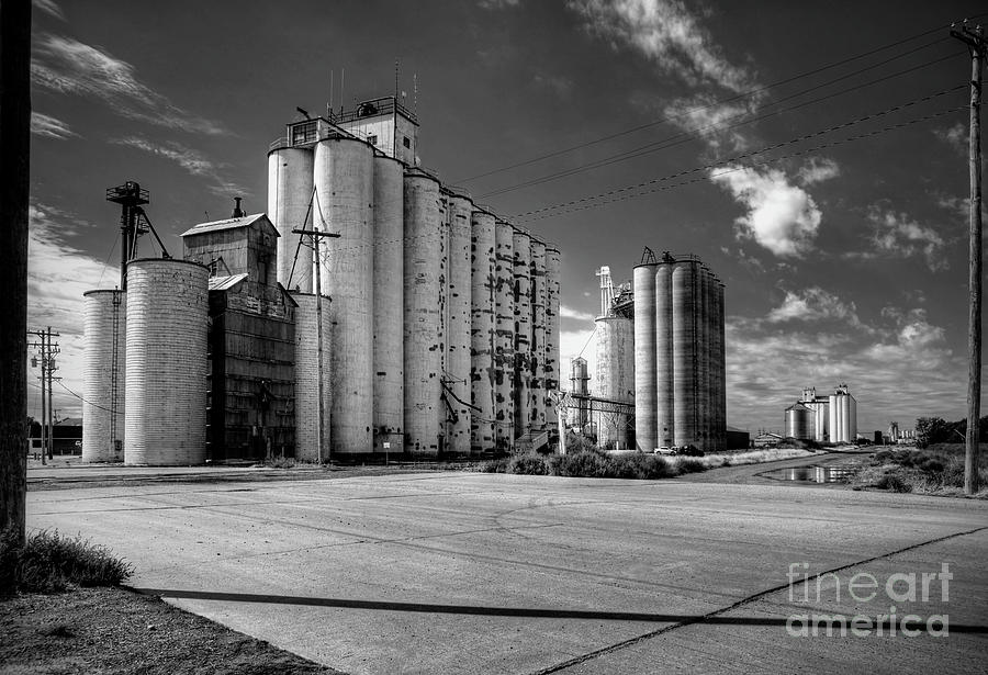 Grain Storage Photograph by Fred Lassmann