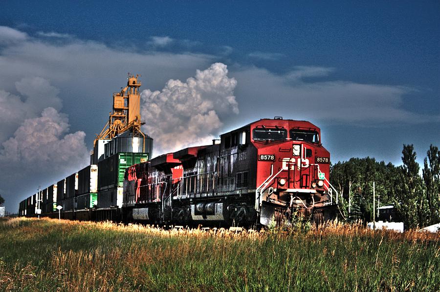 Grain Train Photograph by David Matthews