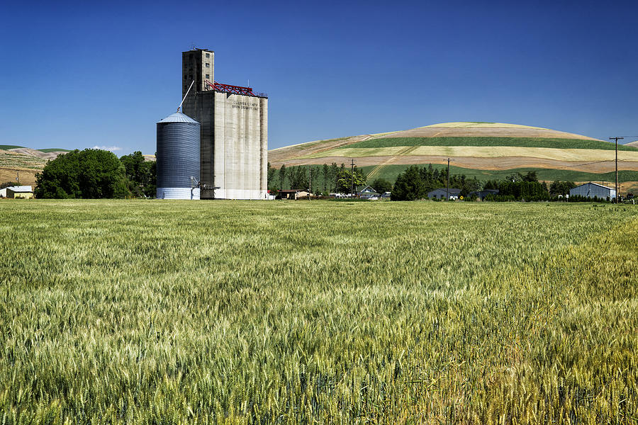 Grainery and Wheat in Palouse WA DSC05126 Photograph by Greg Kluempers