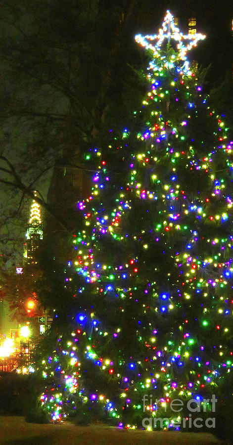 Gramercy Park Christmas Tree With Chrysler Building 6b Photograph by ...