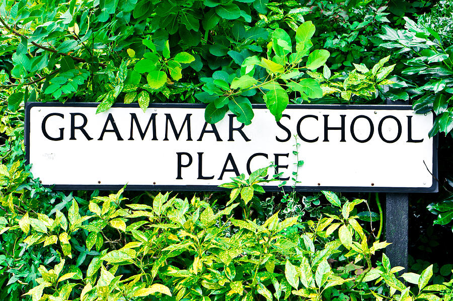 Nature Photograph - Grammer School Place by Tom Gowanlock