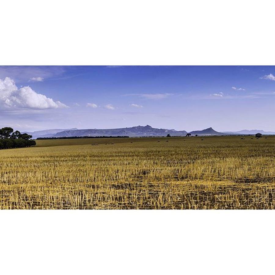 Mountain Photograph - Grampians From Taylors Lake by Todd Williams