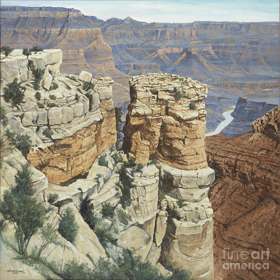 Grand Canyon National Park Painting - Grand Canyon by Don Langeneckert