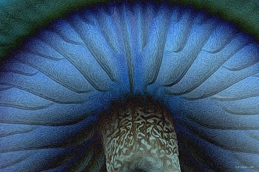 Grand Blue Mushroom Photograph by WB Johnston