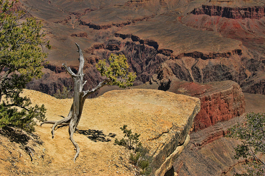 Grand Canyon   # 42 - Powell Point Photograph by Allen Beatty
