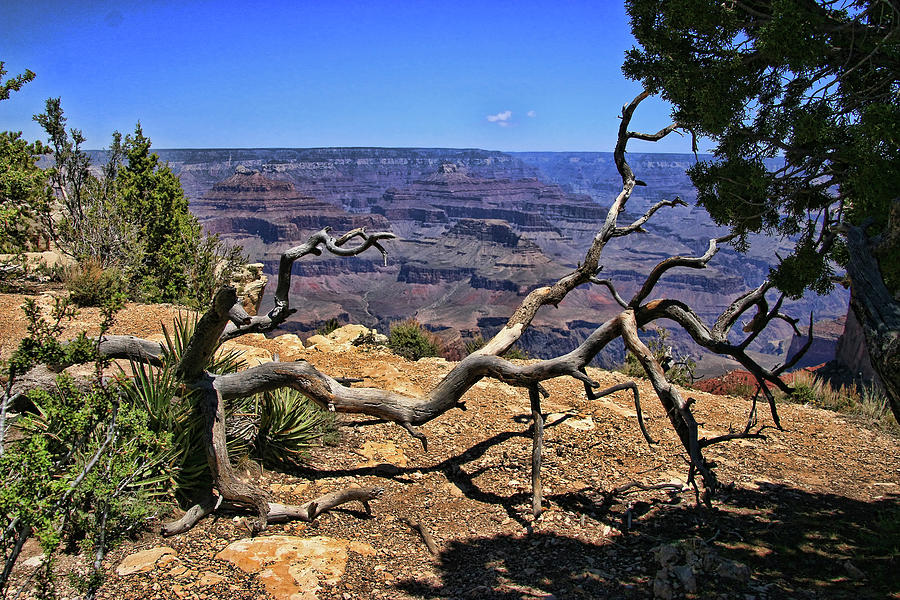 Grand Canyon   # 44 - Mohave Point Photograph by Allen Beatty