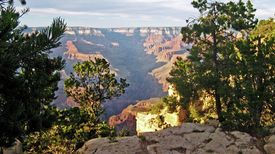 Grand Canyon No. 1 Photograph by Sandy Taylor
