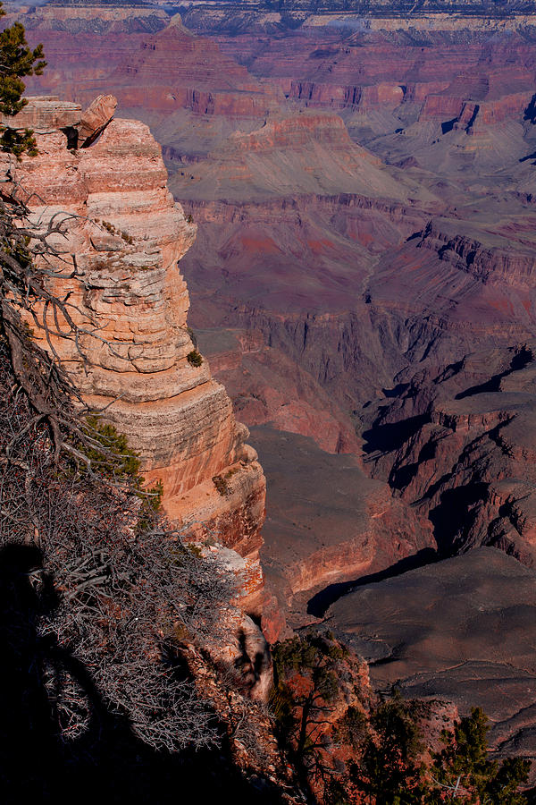 Grand Canyon 11 Photograph by Donna Corless