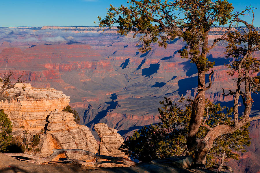 Grand Canyon National Park Photograph - Grand Canyon 20 by Donna Corless