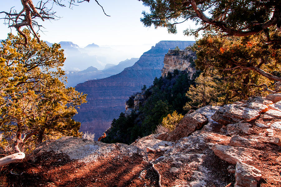 Grand Canyon 26 Photograph by Donna Corless