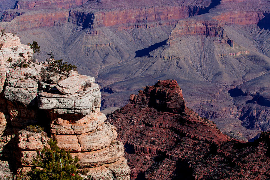 Grand Canyon 3 Photograph by Donna Corless