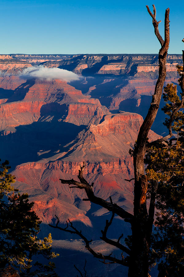 Grand Canyon 30 Photograph by Donna Corless