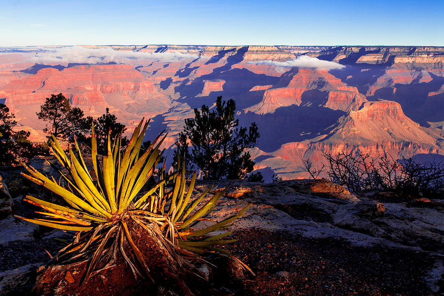 Grand Canyon 31 Photograph by Donna Corless