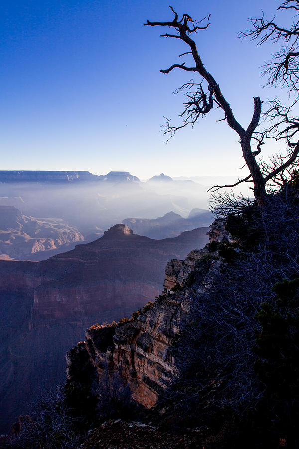 Grand Canyon 33 Photograph by Donna Corless