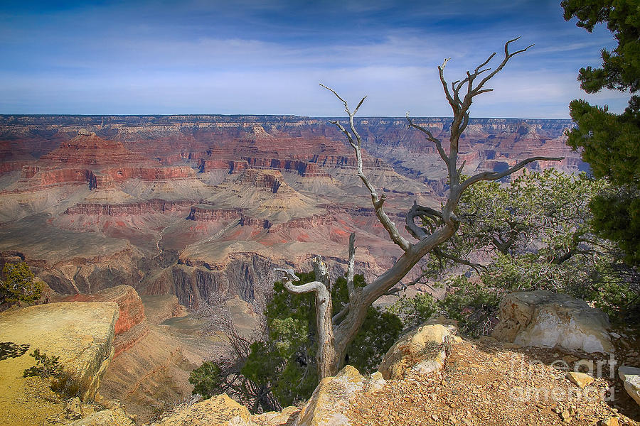 Grand Canyon National Park Photograph - Grand Canyon 4 by Teresa Zieba
