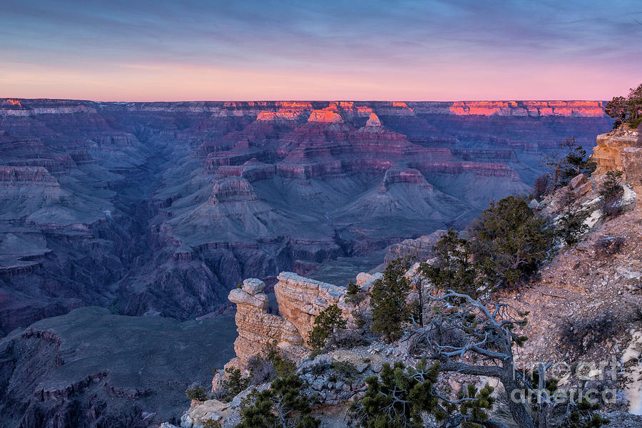 Grand Canyon 4 Photograph by Timothy Hacker