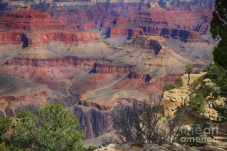 Grand Canyon National Park Photograph - Grand Canyon 6 by Teresa Zieba