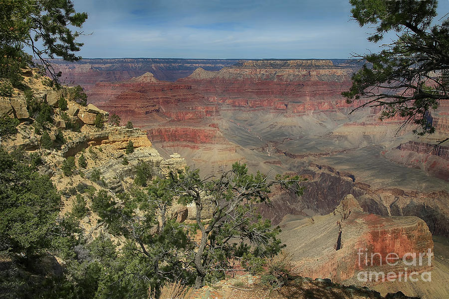 Grand Canyon 7 Photograph by Teresa Zieba