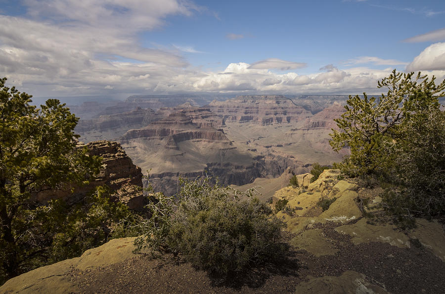 Grand Canyon-8 Photograph