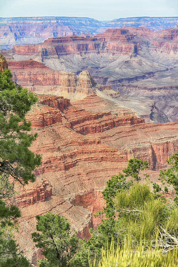 Grand Canyon 8 Photograph by Teresa Zieba