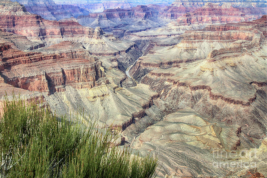 Grand Canyon 9 Photograph by Teresa Zieba