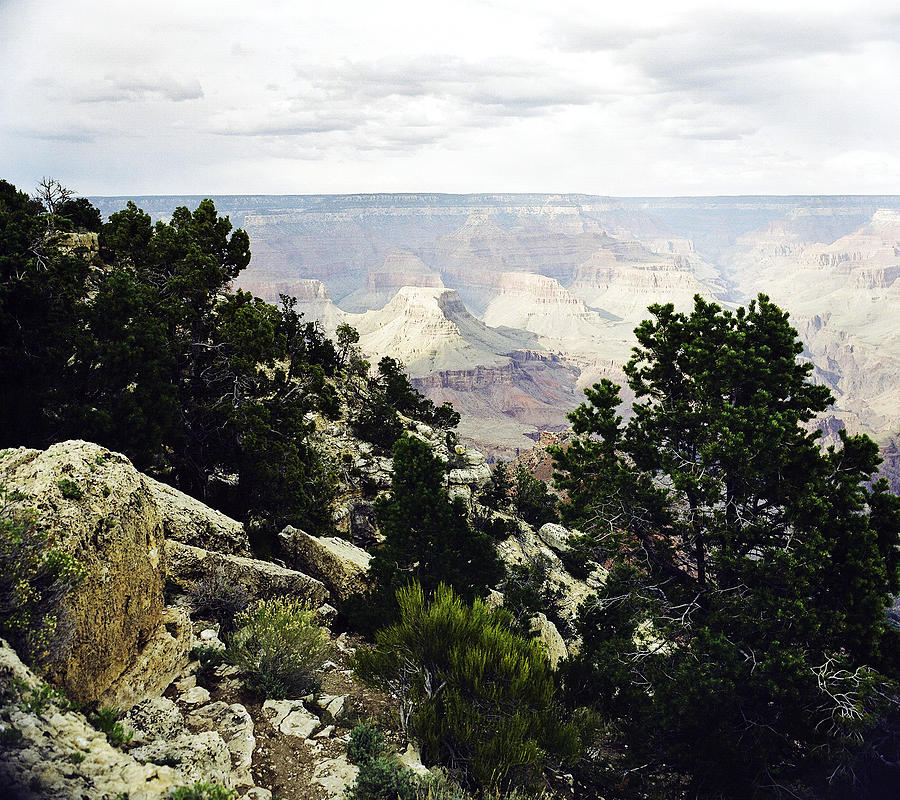 Grand Canyon Arizona Fine Art Photograph In Color 3541.02 Photograph by M K Miller
