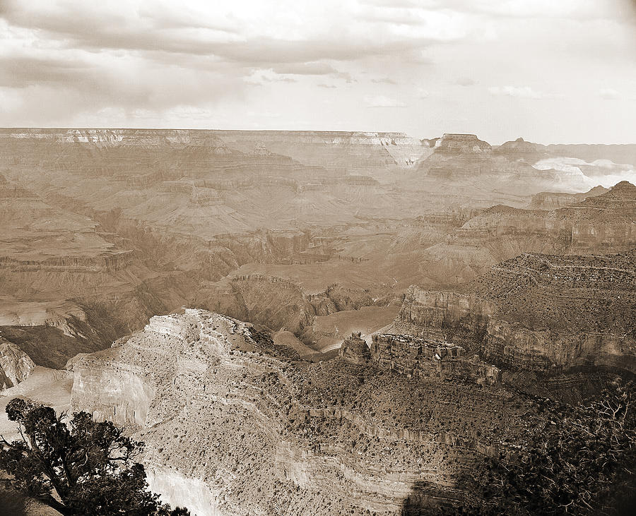 Grand Canyon Arizona Fine Art Photograph In Sepia 3526.01 Photograph by M K Miller