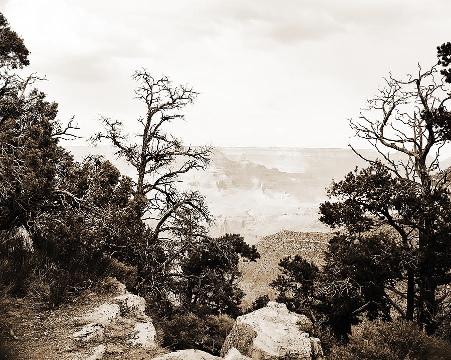 Grand Canyon Arizona Fine Art Photograph In Sepia 3528.01 Photograph by M K Miller