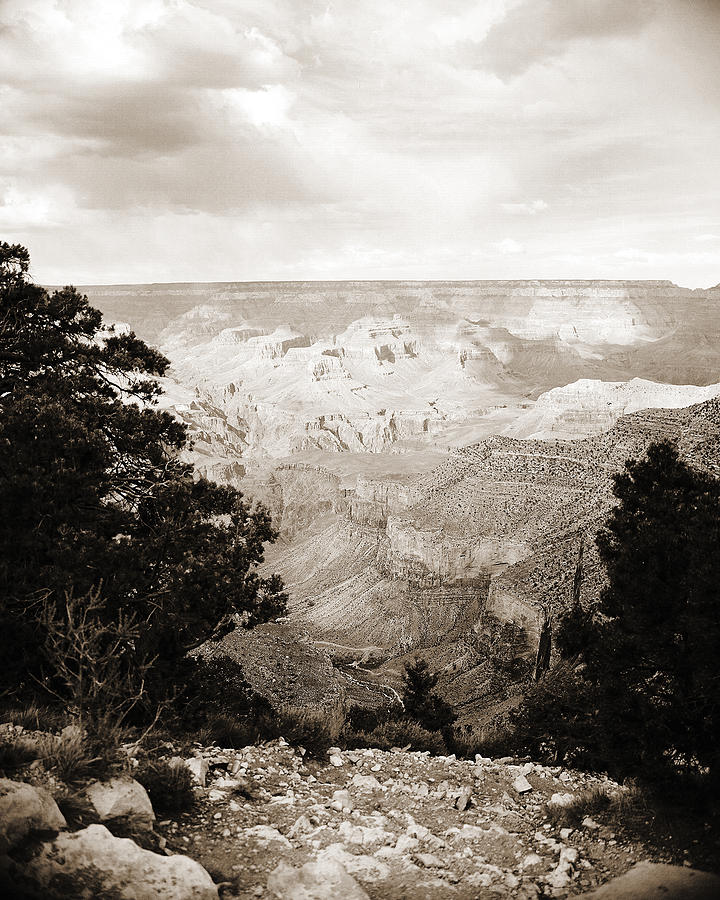 Grand Canyon Arizona Fine Art Photograph In Sepia 3529.01 Photograph by M K Miller