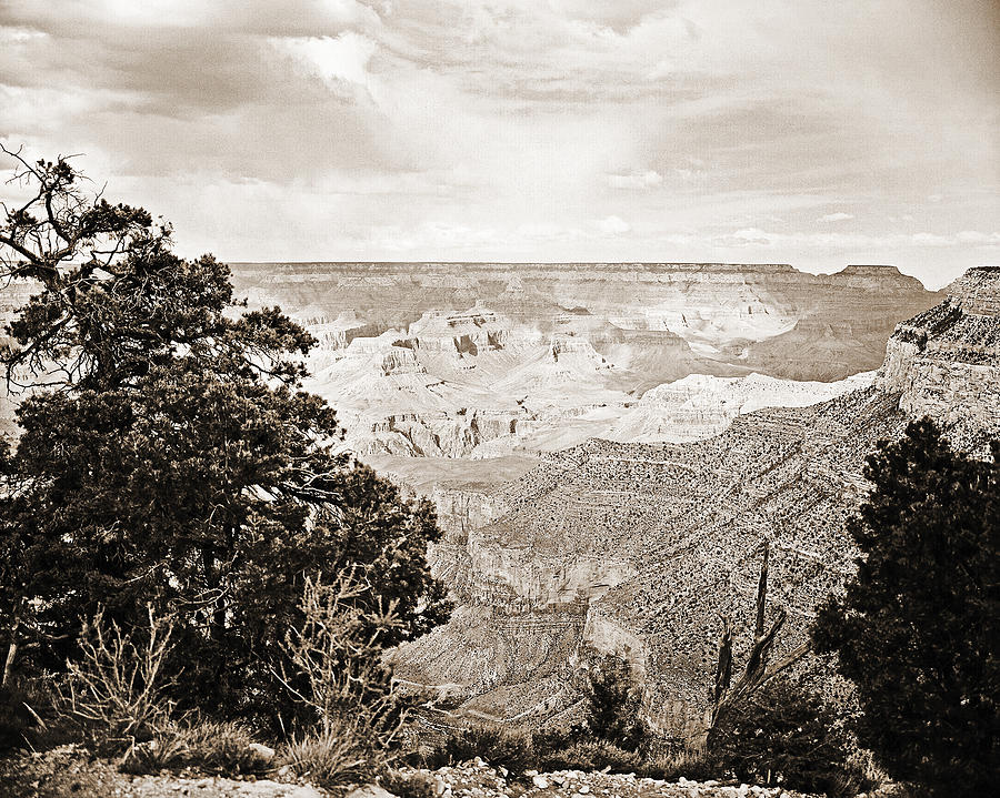 Grand Canyon Arizona Fine Art Photograph In Sepia 3530.01 Photograph by M K Miller