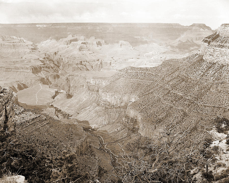 Grand Canyon Arizona Fine Art Photograph In Sepia 3532.01 Photograph by M K Miller