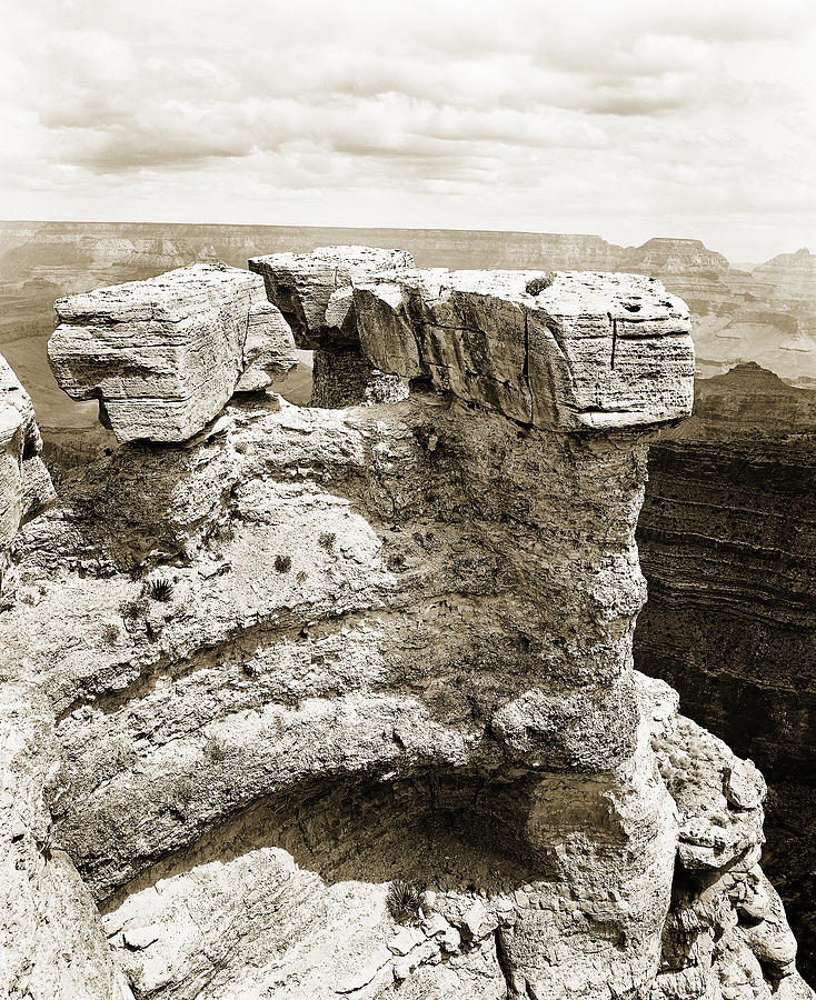 Grand Canyon Arizona Fine Art Photograph In Sepia 3538.01 Photograph by M K Miller