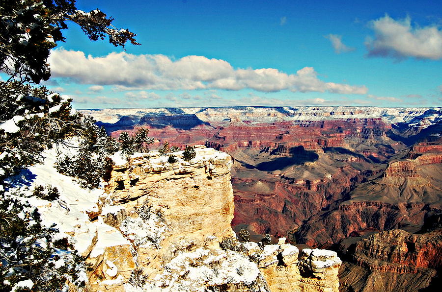 Grand Canyon Arizona Photograph by James DeFazio