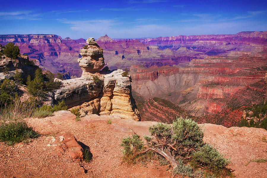 Grand Canyon Arizona Photograph by Tatiana Travelways