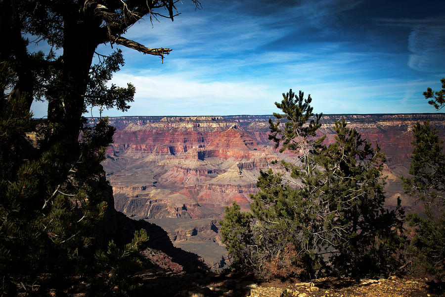 Grand Canyon, Arizona USA Photograph by James Bethanis
