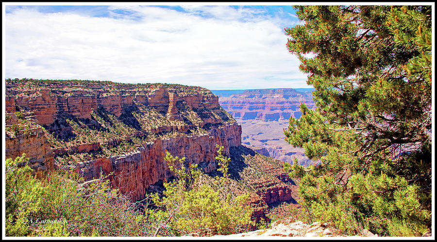 Grand Canyon, Arizona, View from the South Rim Photograph by A Macarthur Gurmankin