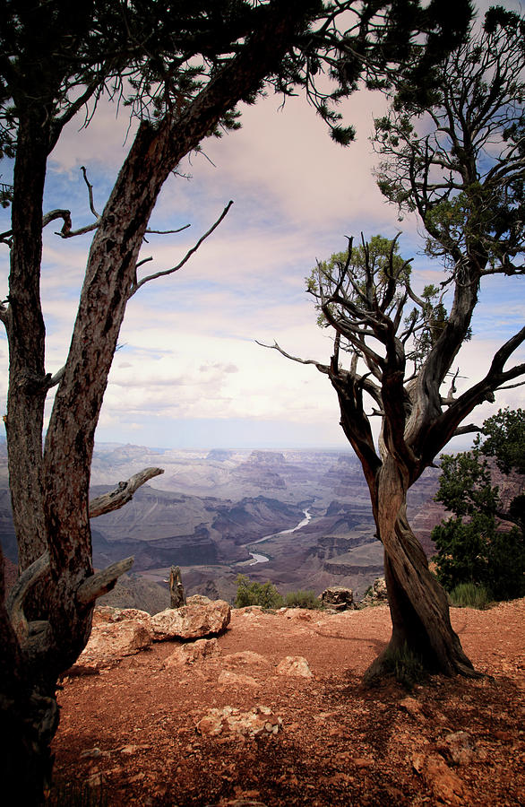 Grand Canyon, AZ Photograph by James Bethanis