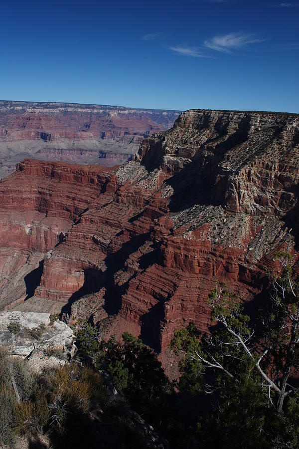Grand Canyon Photograph by Barbara Smith-Baker