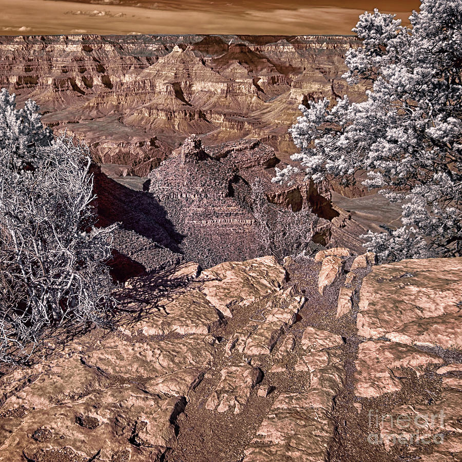 Grand Canyon Battleship Rock Infrared #2 Photograph by Norman Gabitzsch