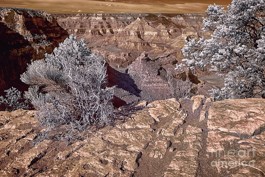 Grand Canyon Battleship Rock Infrared Photograph by Norman Gabitzsch