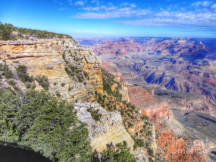 Grand Canyon Beauty Photograph by Anne Sands
