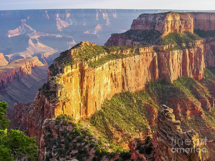 Grand Canyon Photograph by Benny Marty