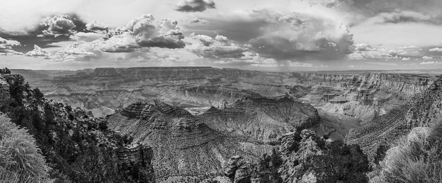 Grand Canyon Black and White Panoramic  Photograph by John McGraw