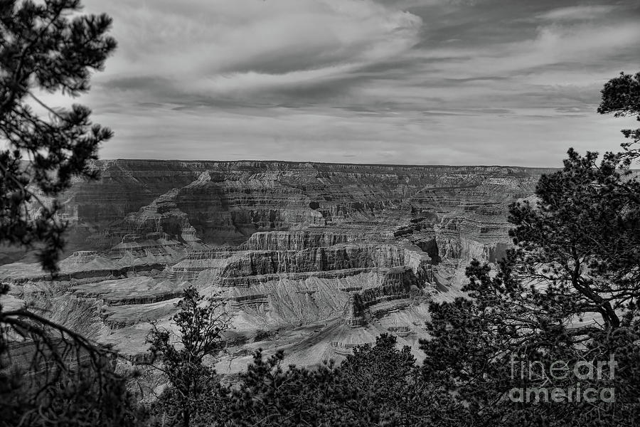 Grand Canyon Black White 8 Photograph by Chuck Kuhn
