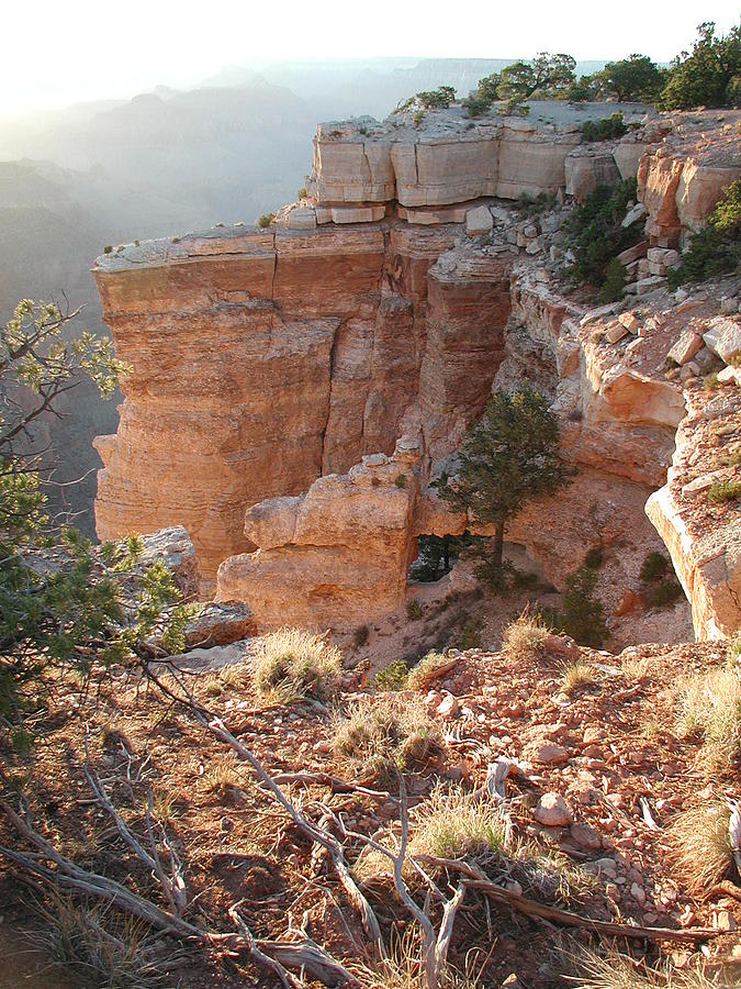 Grand Canyon Bluff Photograph by Nancy Taylor - Pixels