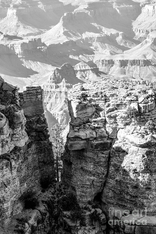 Grand Canyon BW impression Photograph by Juergen Klust