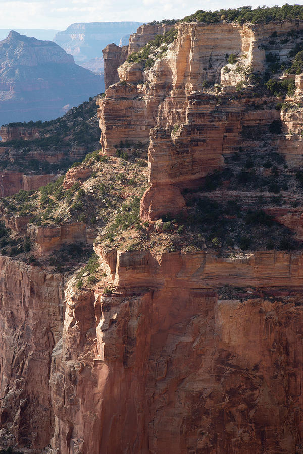 Grand Canyon - Cape Royal Photograph by Frank Madia